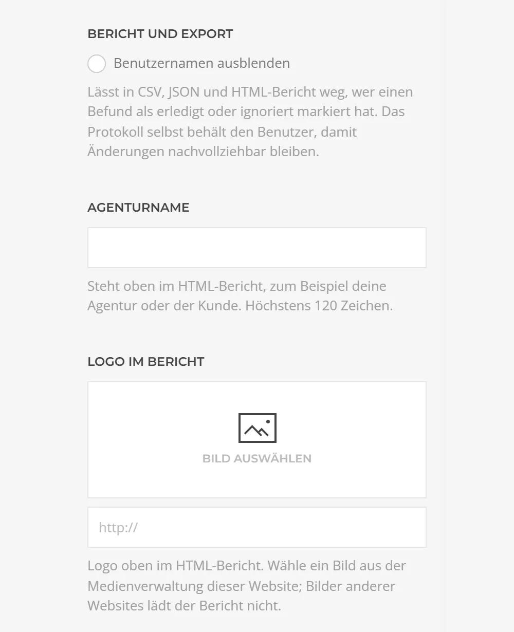 Accessibility Dock in the YOOtheme settings: report options with hide user names, agency name and logo for the HTML report